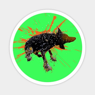 Shake It - Wet Border Collie Dog Art Magnet